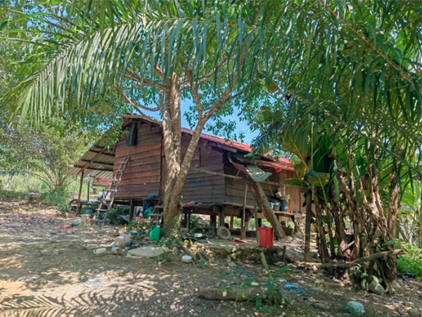 Streams of Prayer for 23 October 2025